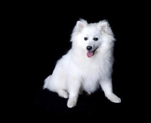 imToken钱包苹果版